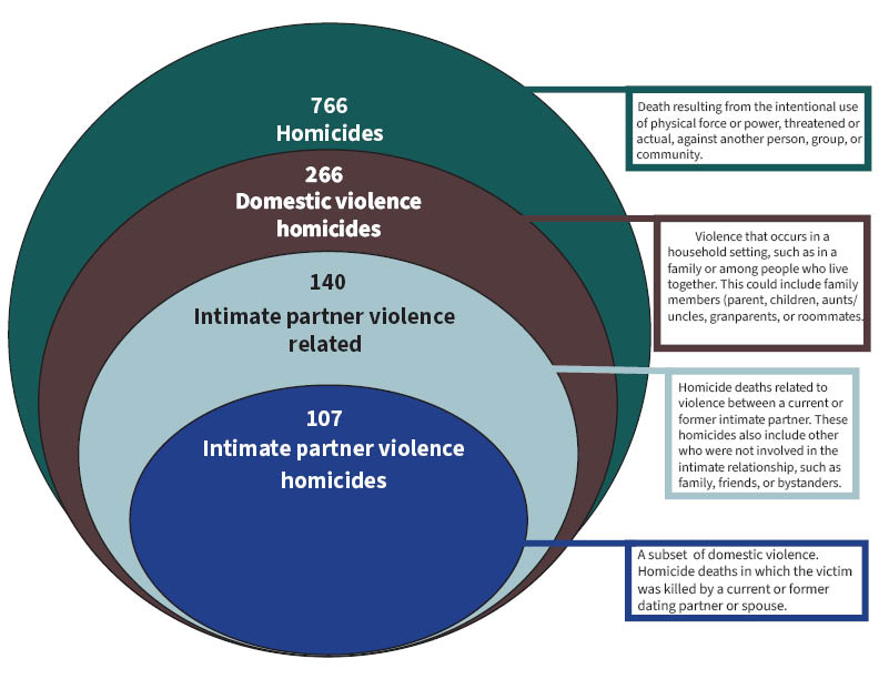 Nested circle diagram illustrating subsets of homicide and domestic violence statistics.