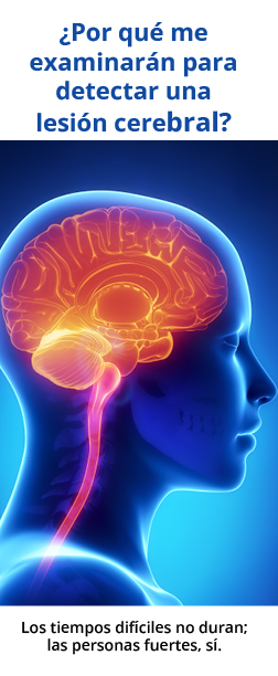 Side view of a human head with highlighted brain and spinal cord, Spanish text about brain injury.